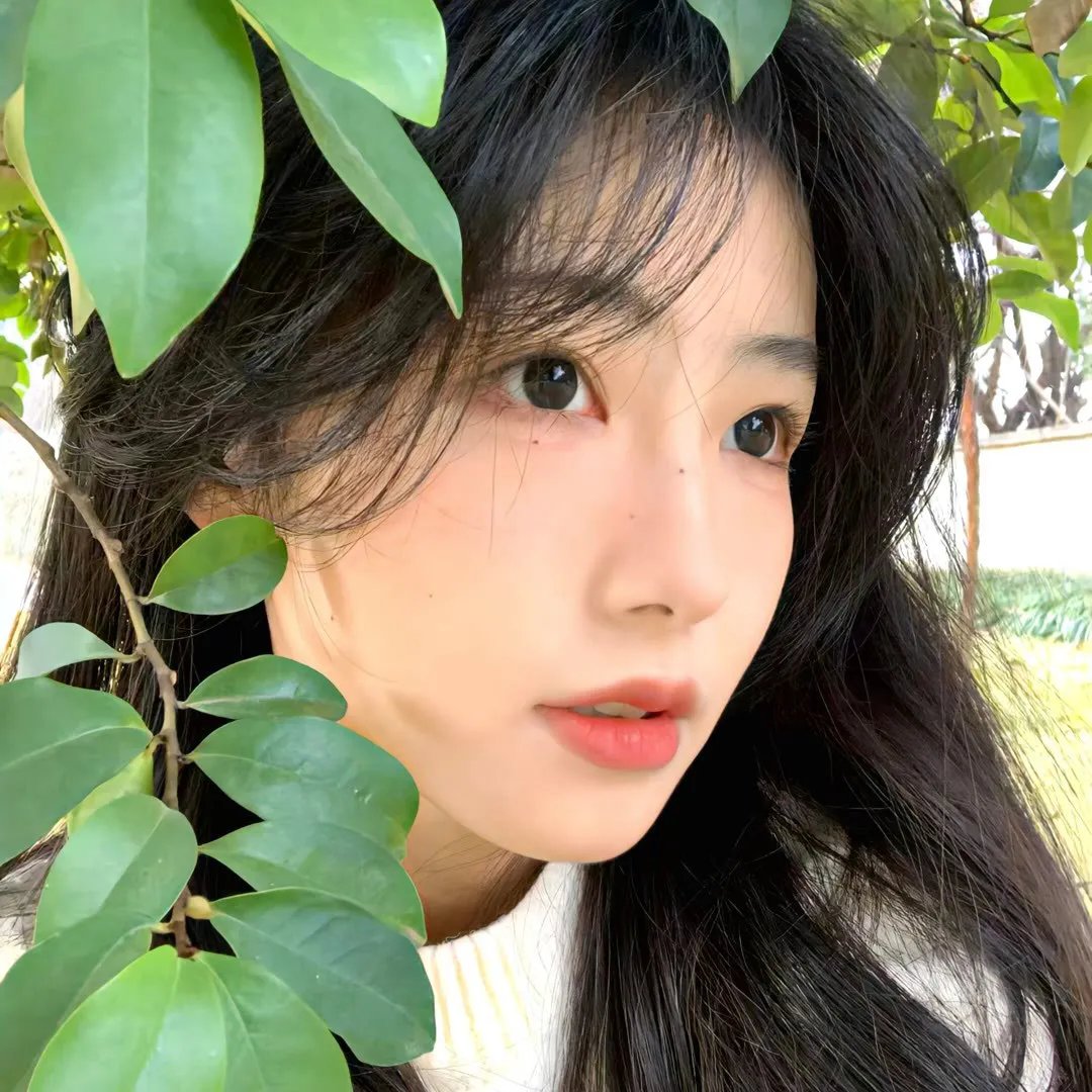 黑木